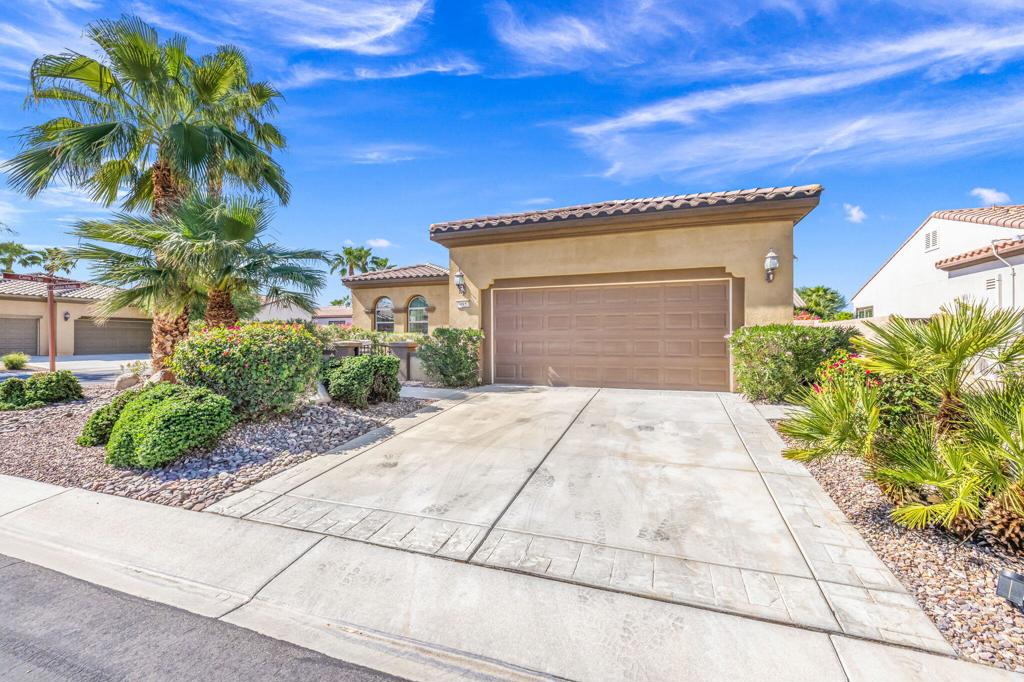 2-web-or-mls-0J3A7574