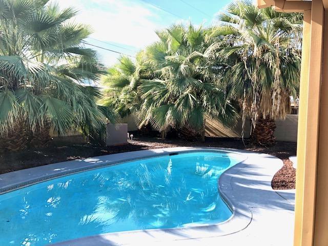 _pool backyard IMG_6410