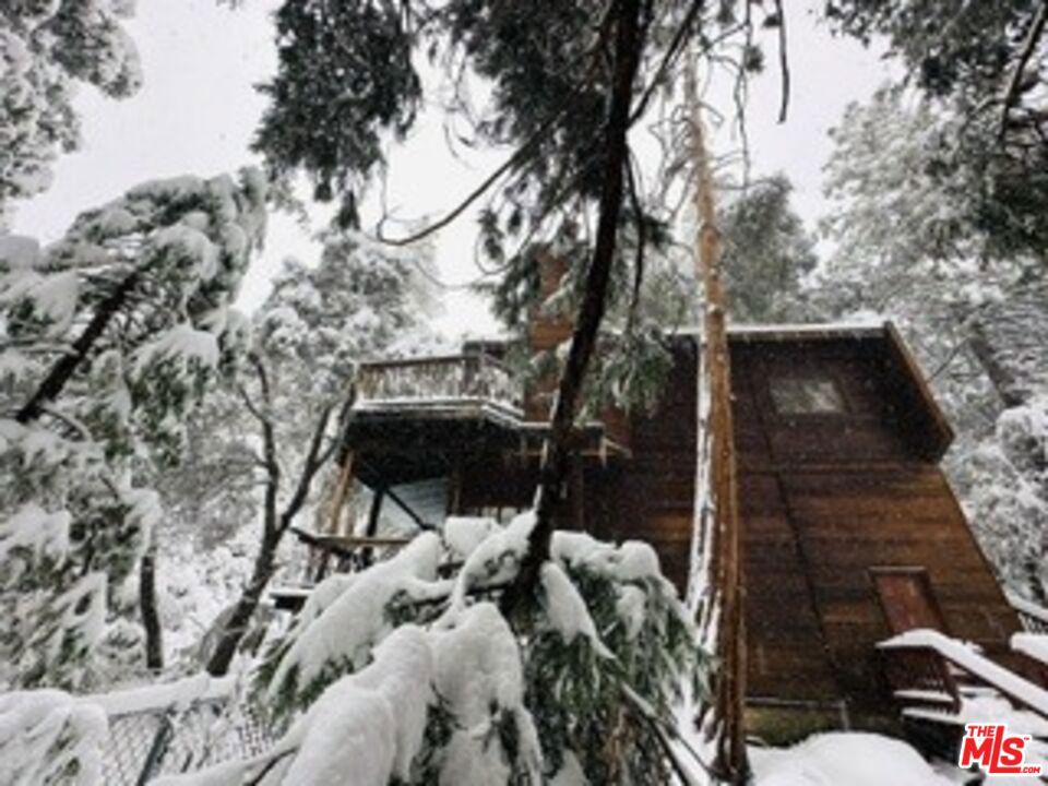 Winter wonderland