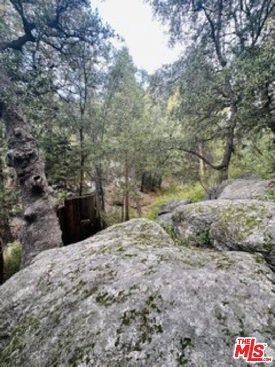 Rocking in the forest