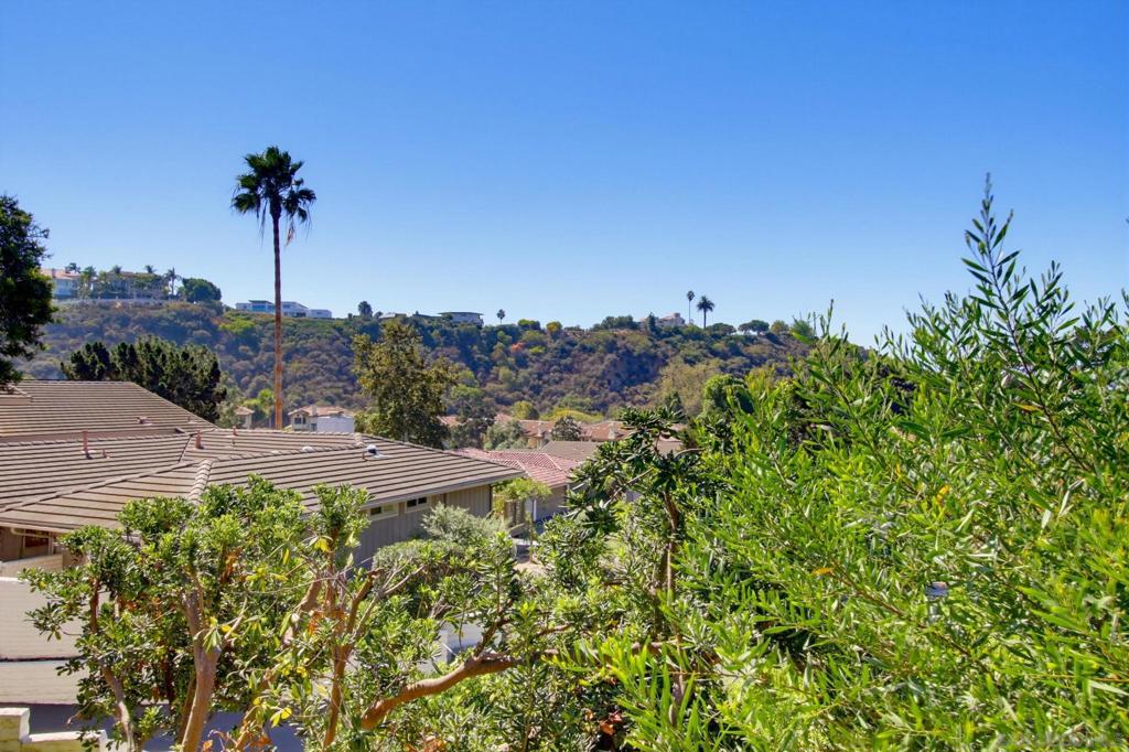 111 Delicias Ct, Solana Beach, CA 92075
