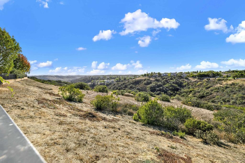 10636 Briarlake Woods Drive, San Diego, CA 92130