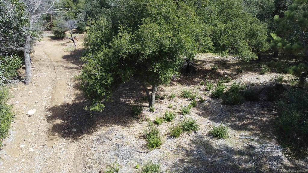 2716 Payson Dr, Julian, CA 92036 2716 Payson Dr, Julian, CA 92036