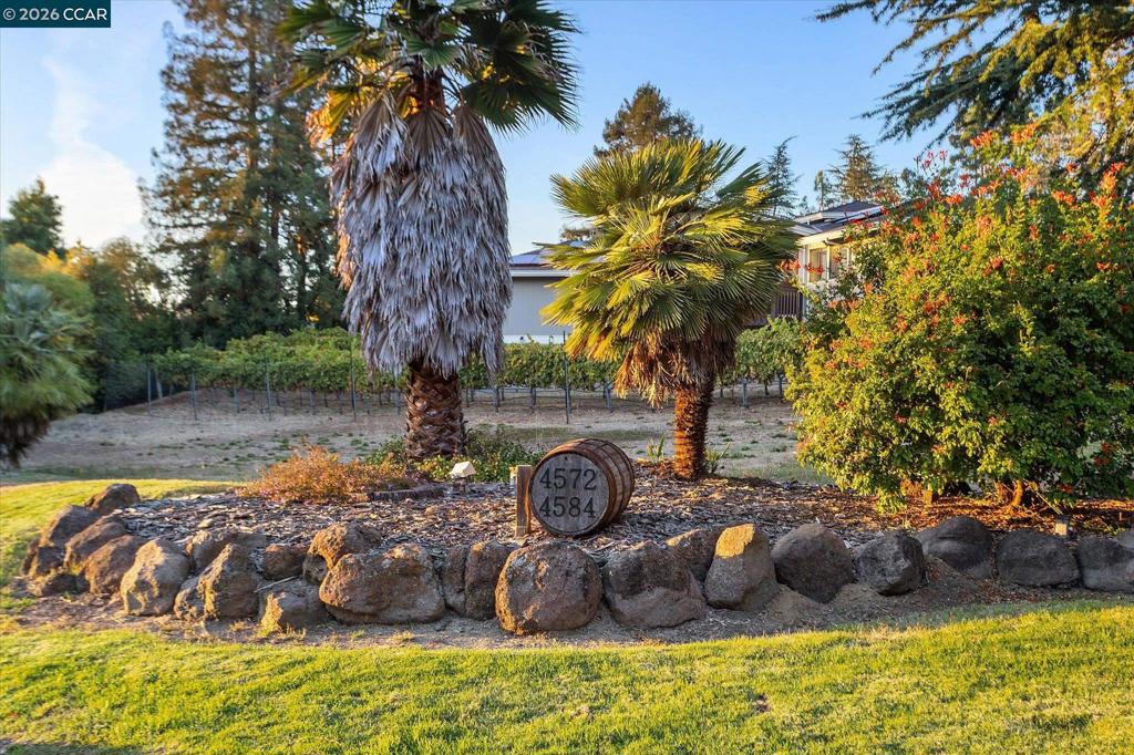 4572 Ewing Rd, Castro Valley, CA 94546