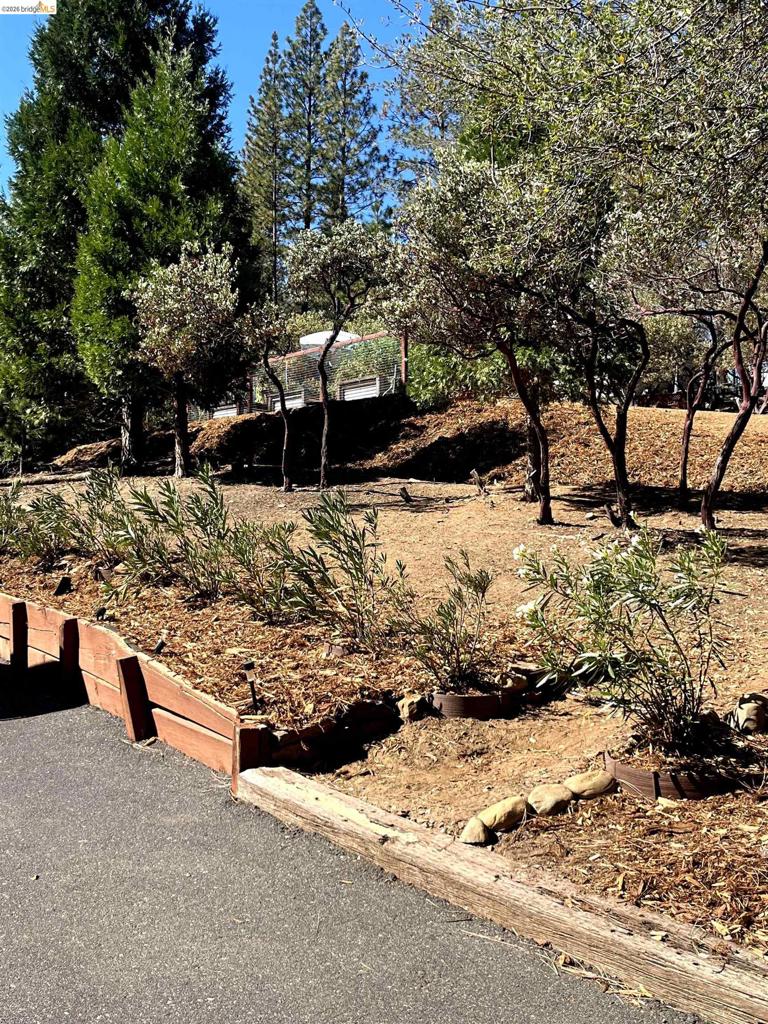 19991 Pine Mountain Dr., Groveland, CA 95321