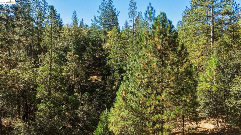19991 Pine Mountain Dr., Groveland, CA 95321