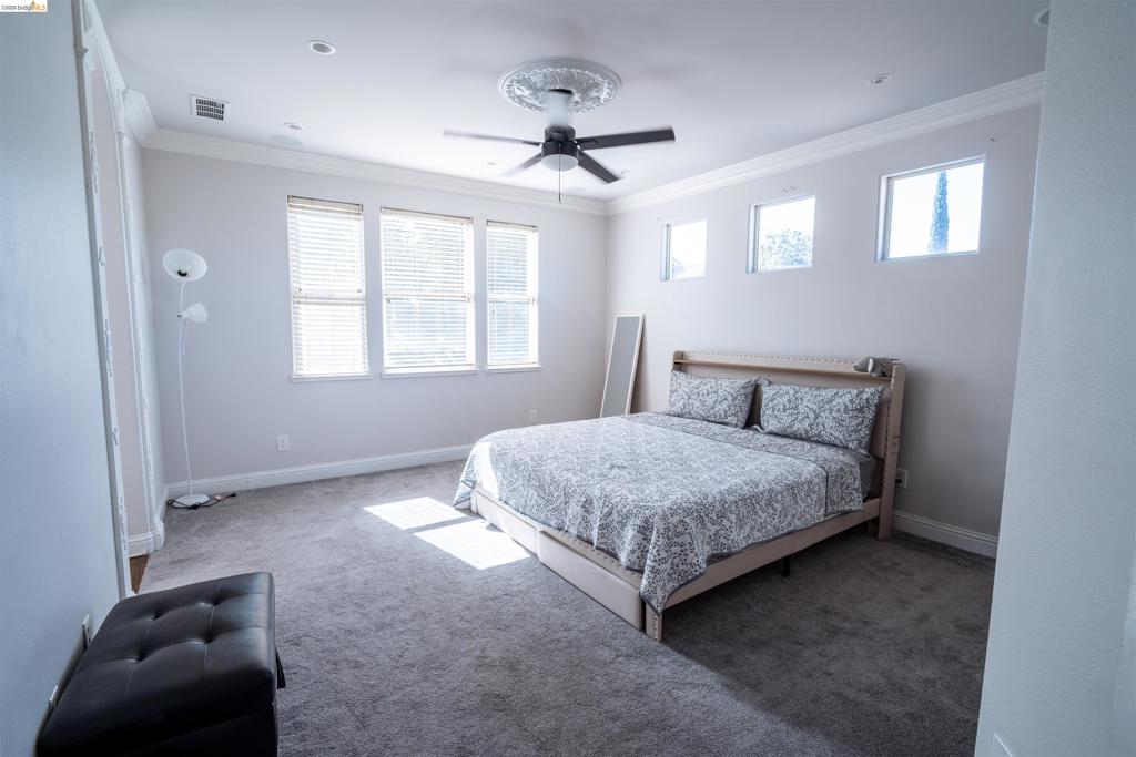 Spacious interior featuring neutral wall tones, decorative ceiling medallion, integrated ceiling fan, crown molding, and high-placed windows