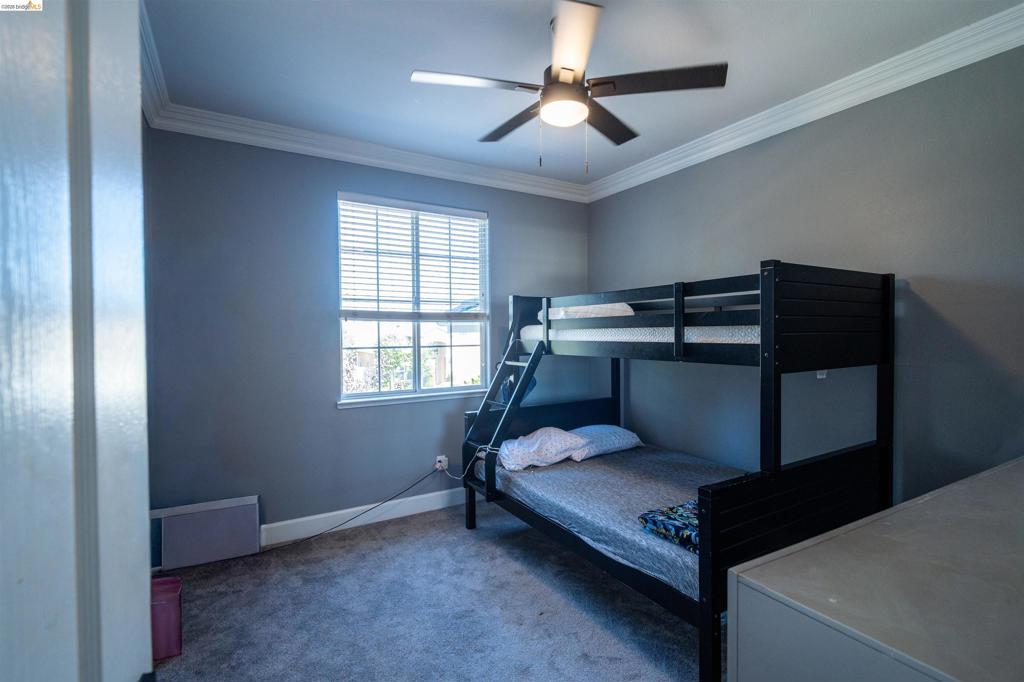 Room featuring crown molding, neutral wall paint, carpeted flooring, and a multi-blade ceiling fan with integrated light fixture