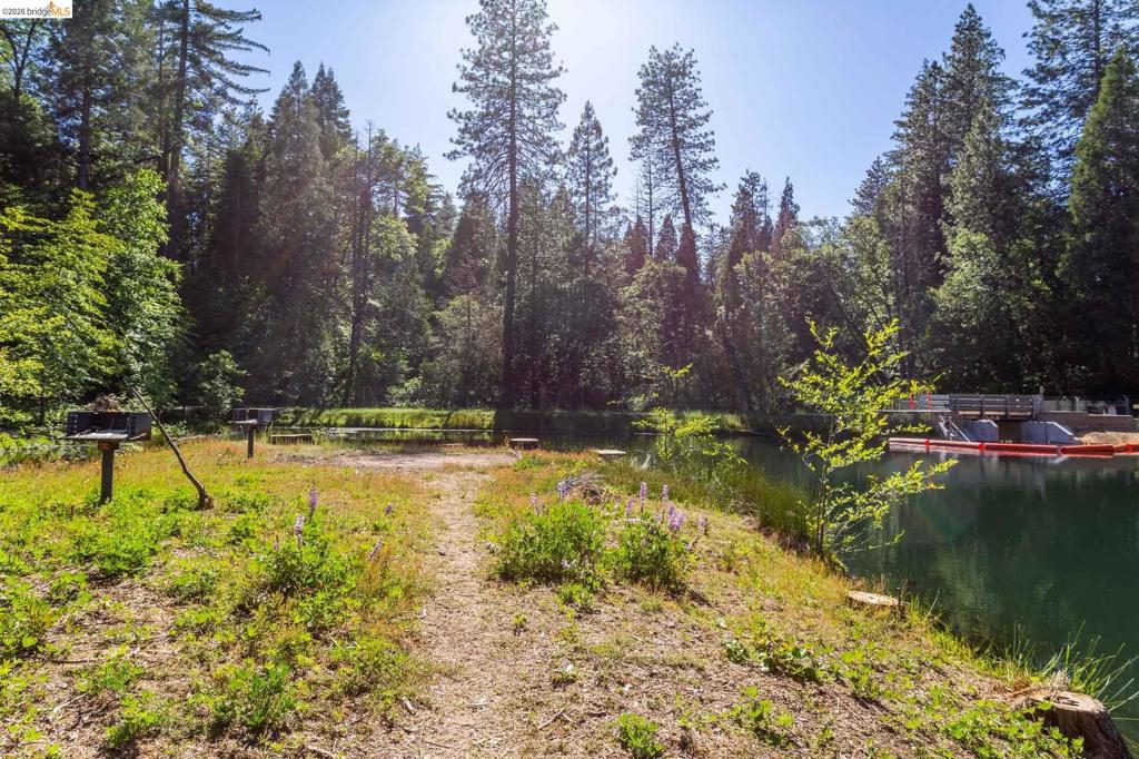 23593 Lakewood Dr, Twain Harte, CA 95383