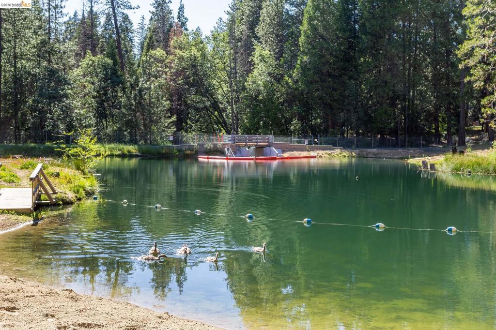 23593 Lakewood Dr, Twain Harte, CA 95383