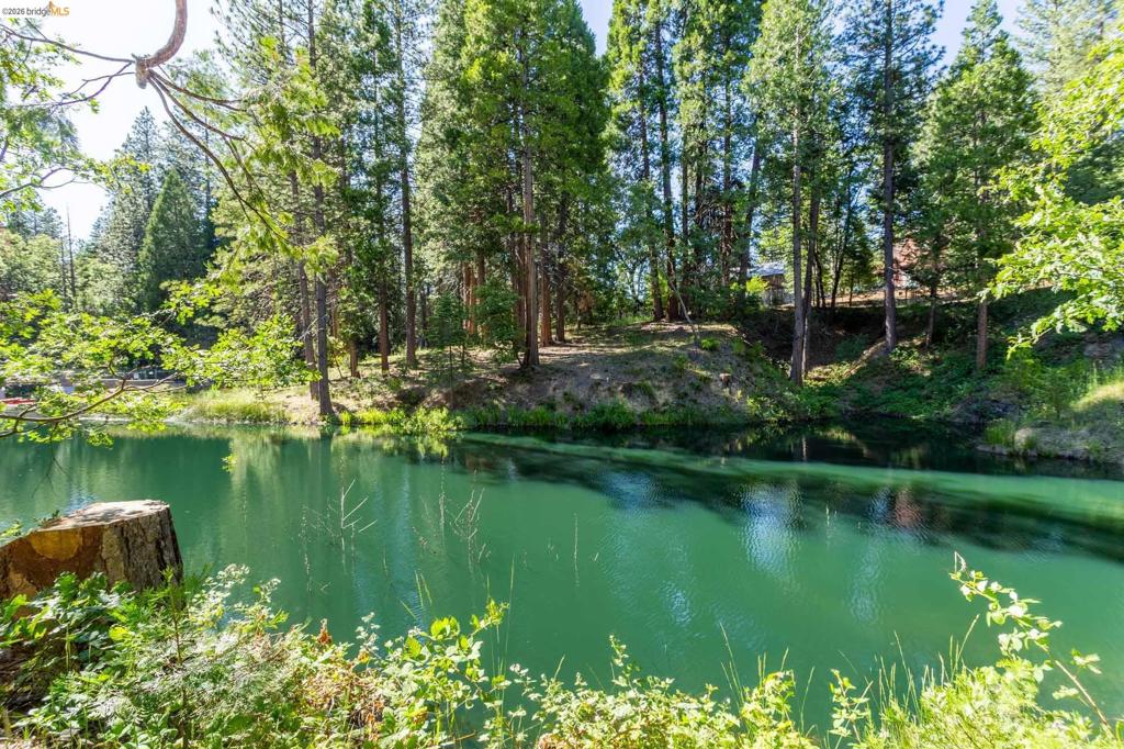 23593 Lakewood Dr, Twain Harte, CA 95383