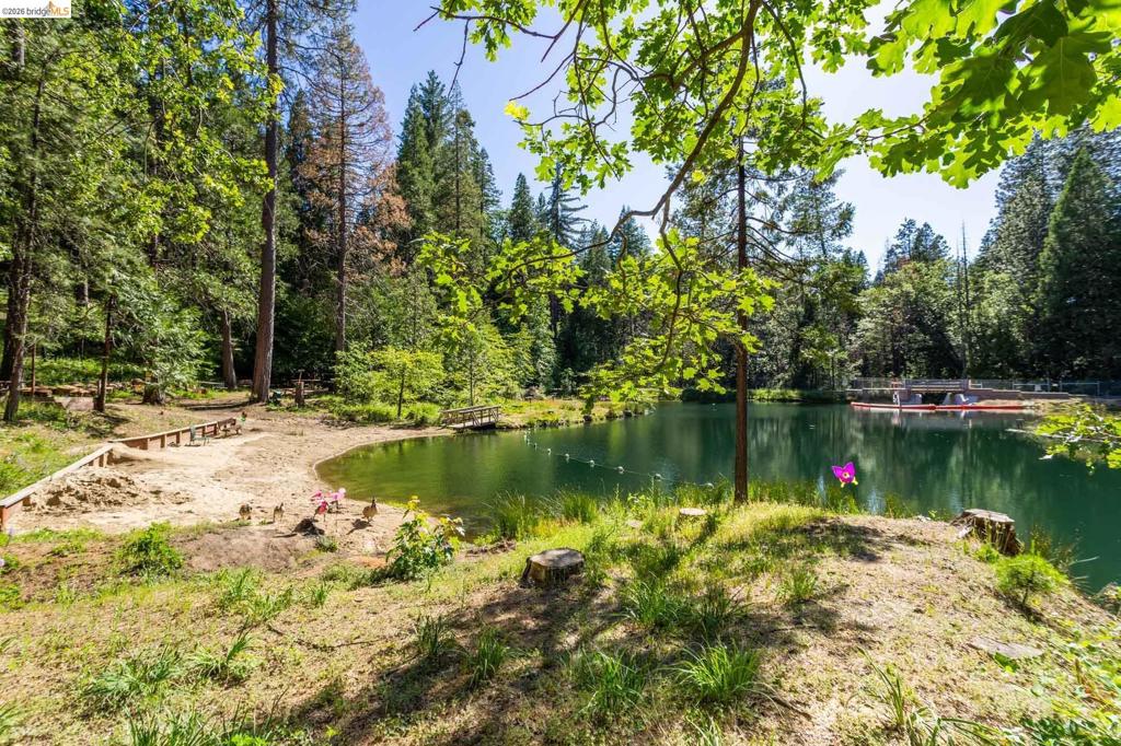 23593 Lakewood Dr, Twain Harte, CA 95383