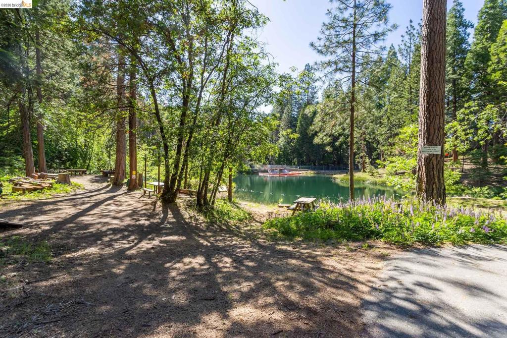 23593 Lakewood Dr, Twain Harte, CA 95383