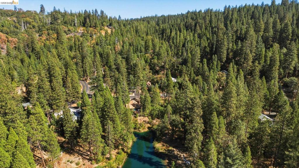 23593 Lakewood Dr, Twain Harte, CA 95383