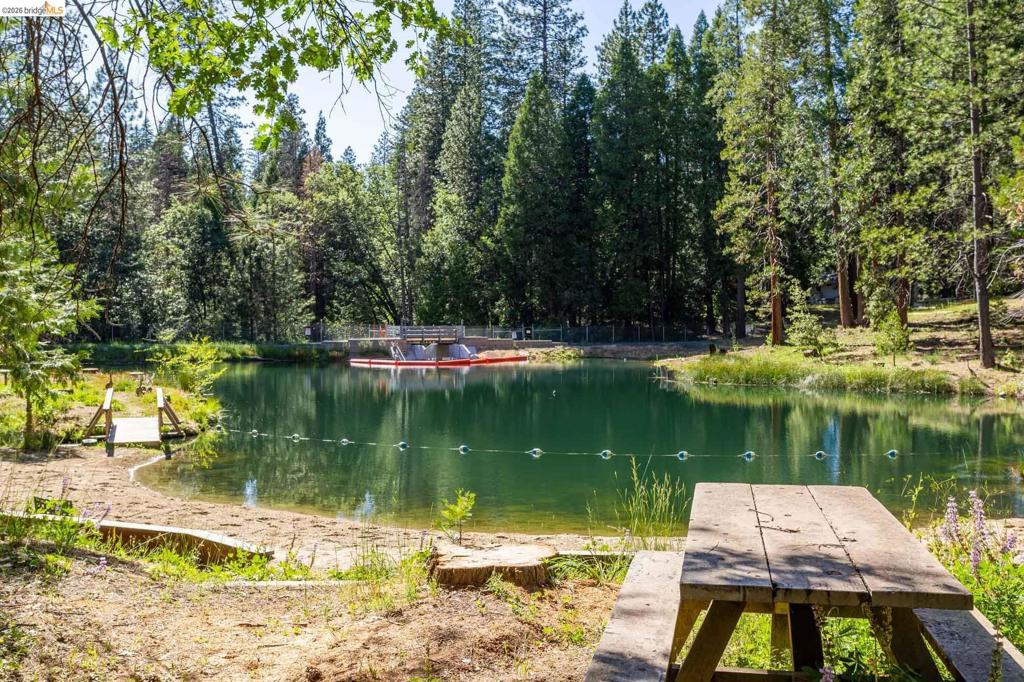 23593 Lakewood Dr, Twain Harte, CA 95383