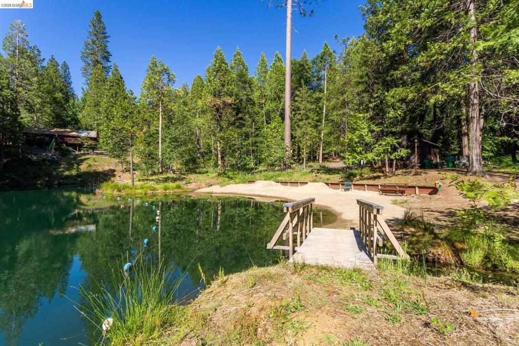 23593 Lakewood Dr, Twain Harte, CA 95383