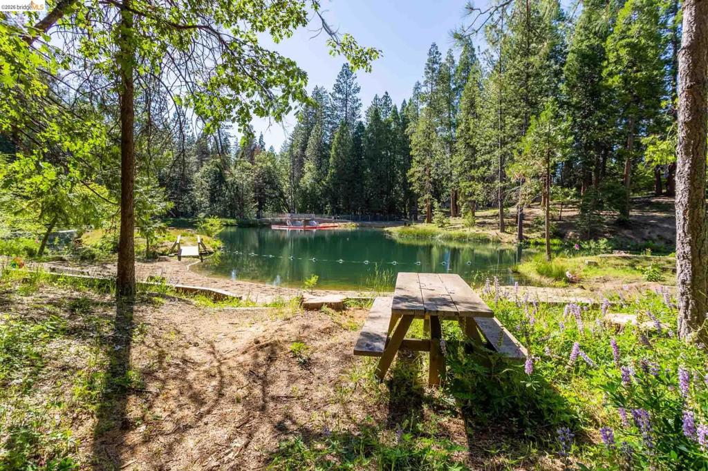 23593 Lakewood Dr, Twain Harte, CA 95383