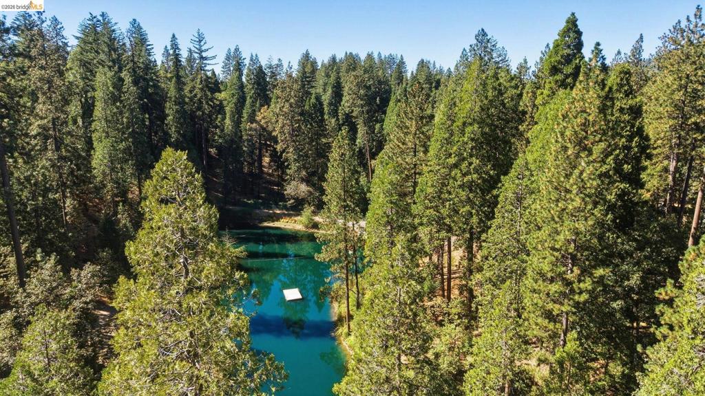 23593 Lakewood Dr, Twain Harte, CA 95383