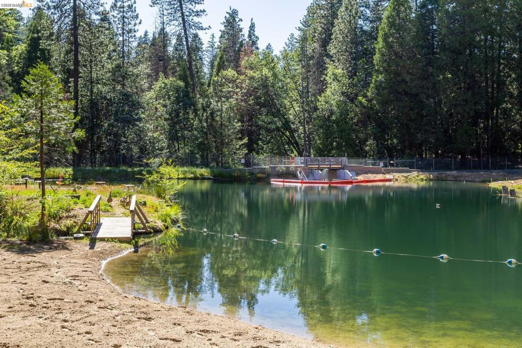 23593 Lakewood Dr, Twain Harte, CA 95383