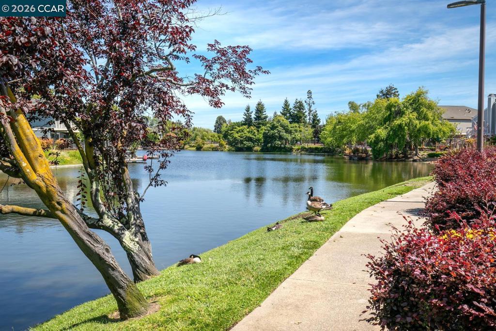 28 Shepardson Ln, Alameda, CA 94502