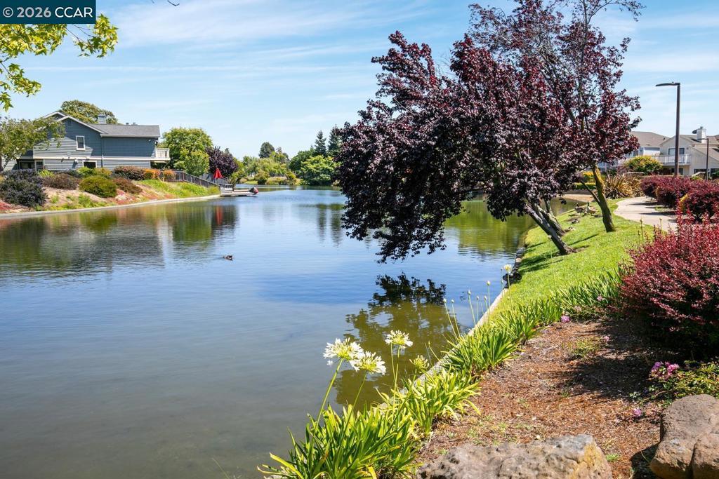 28 Shepardson Ln, Alameda, CA 94502