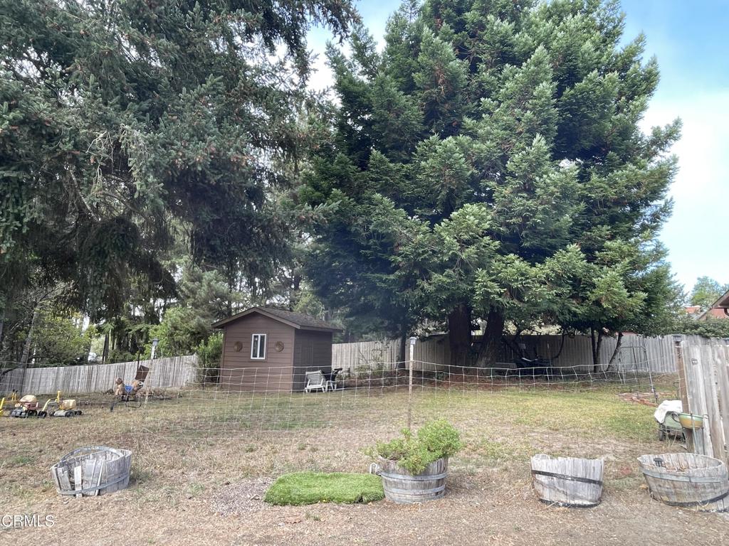 Fenced south yard