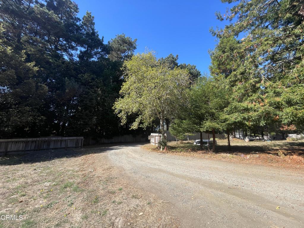 Driveway to Street