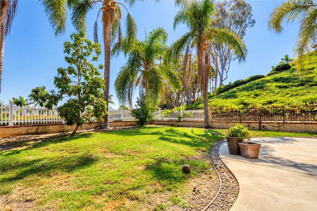 1317 Altura, San Clemente, CA 92673