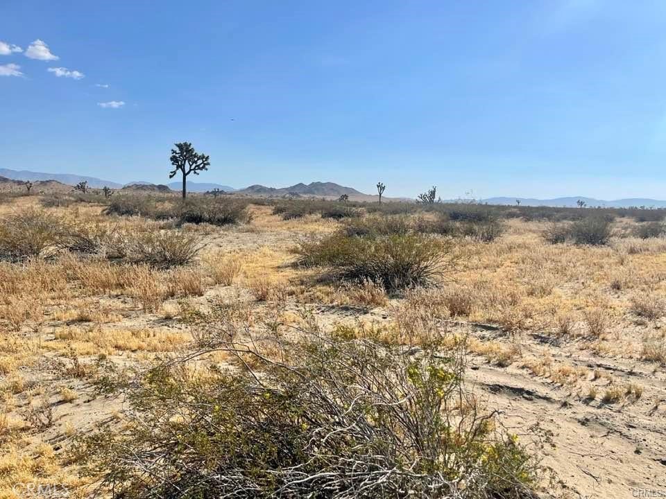 150 E Avenue K12 APN#3362-006-009 Roosevelt, Lancaster, CA 93535