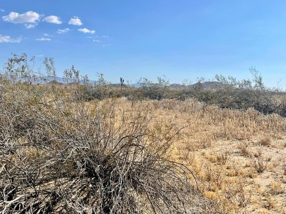 150 E Avenue K12 APN#3362-006-009 Roosevelt, Lancaster, CA 93535