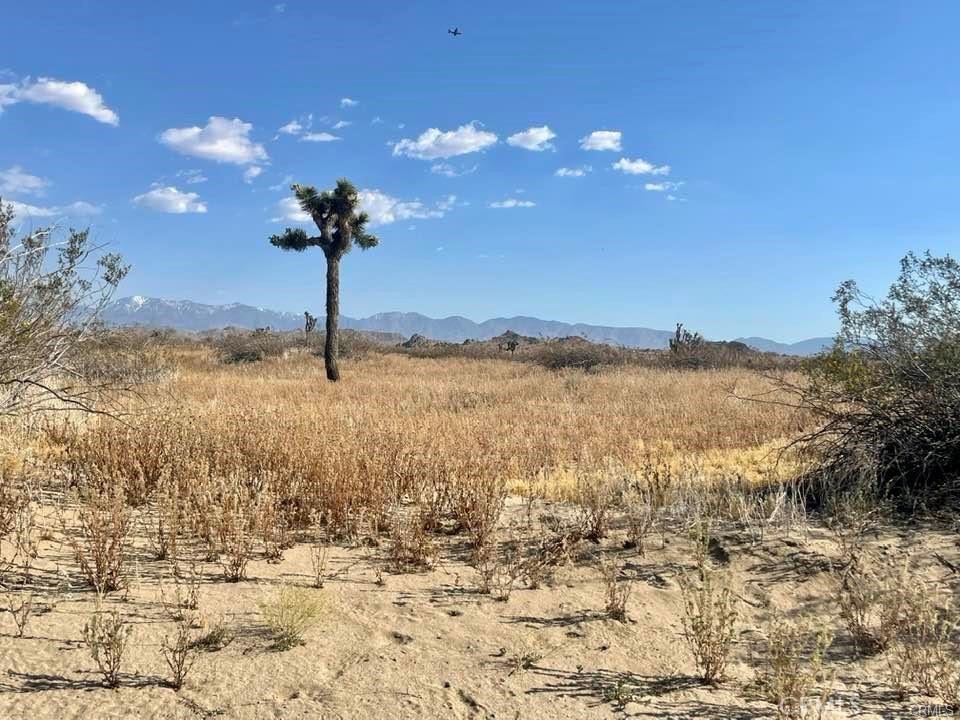 150 E Avenue K12 APN#3362-006-009 Roosevelt, Lancaster, CA 93535