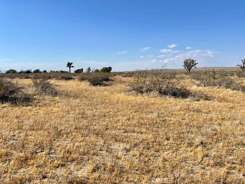 150 E Avenue K12 APN#3362-006-009 Roosevelt, Lancaster, CA 93535
