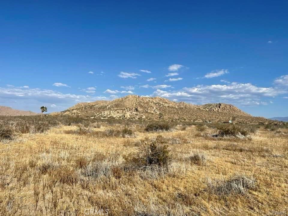 150 E Avenue K12 APN#3362-006-009 Roosevelt, Lancaster, CA 93535