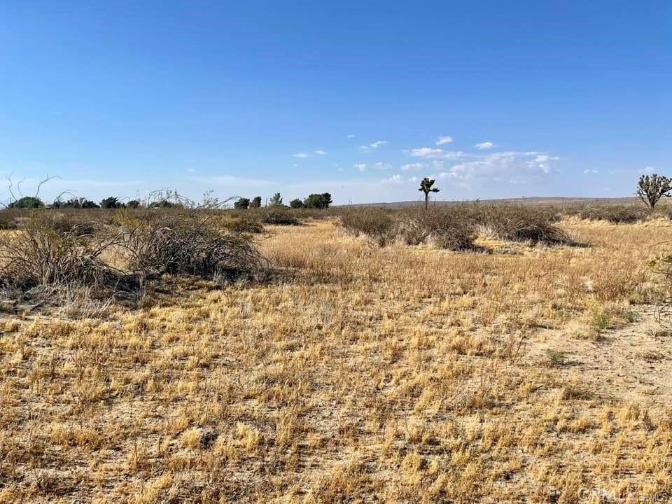 150 E Avenue K12 APN#3362-006-009 Roosevelt, Lancaster, CA 93535