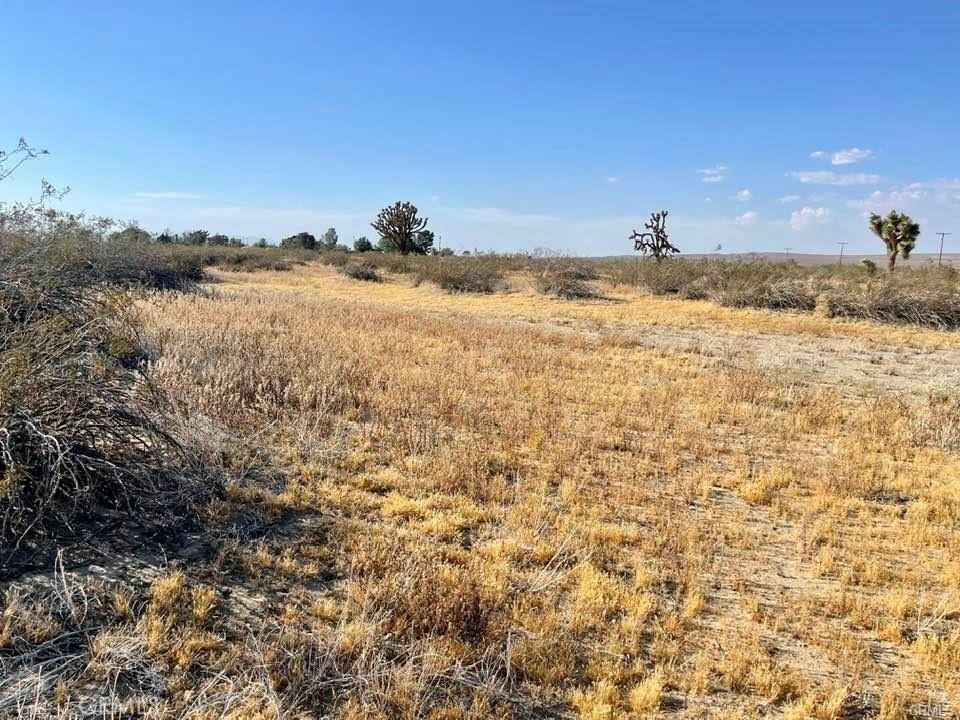 150 E Avenue K12 APN#3362-006-010 Roosevelt, Lancaster, CA 93535