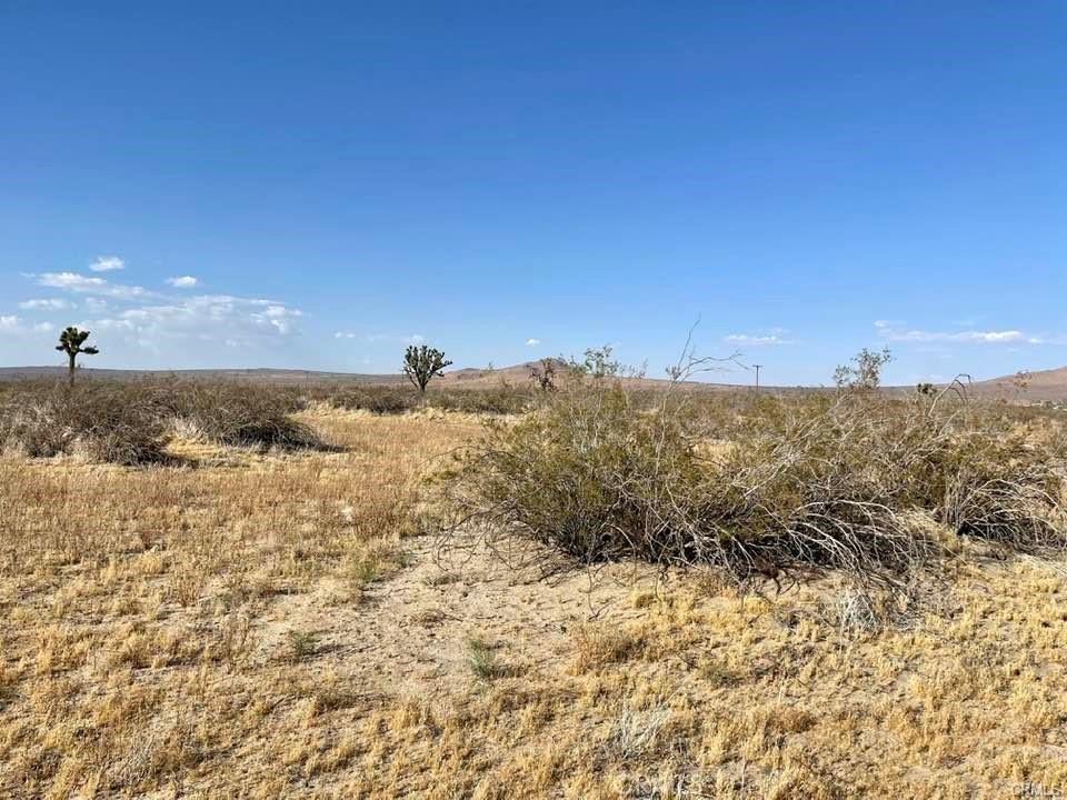 150 E Avenue K12 APN#3362-006-010 Roosevelt, Lancaster, CA 93535