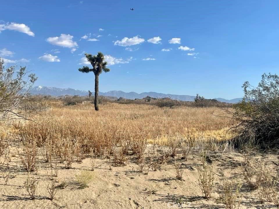 150 E Avenue K12 APN#3362-006-010 Roosevelt, Lancaster, CA 93535