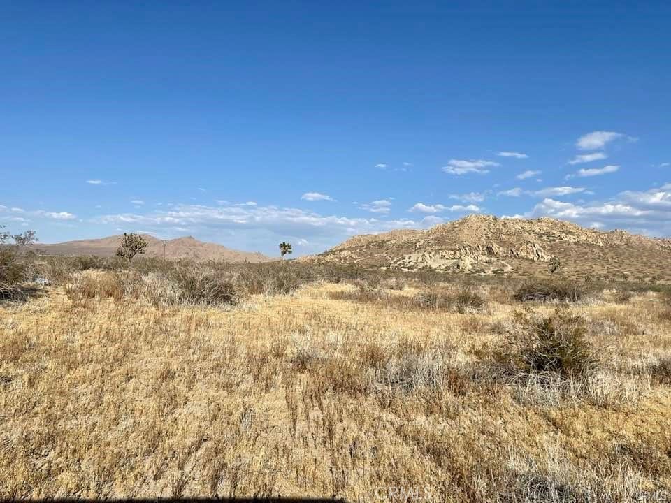 150 E Avenue K12 APN#3362-006-010 Roosevelt, Lancaster, CA 93535