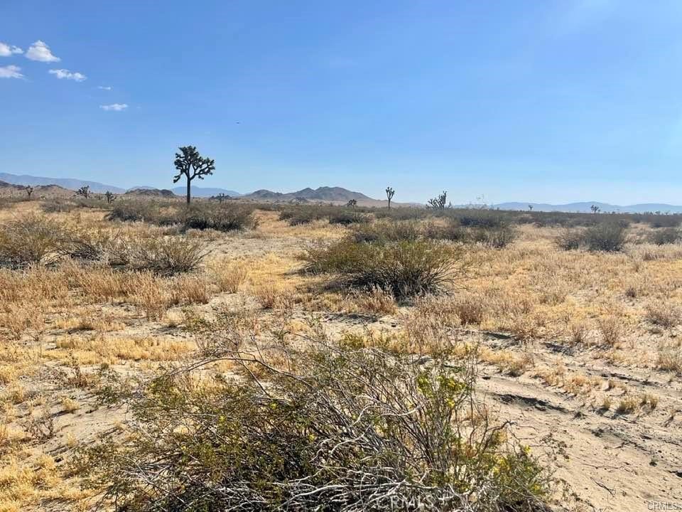 150 E Avenue K12 APN#3362-006-010 Roosevelt, Lancaster, CA 93535