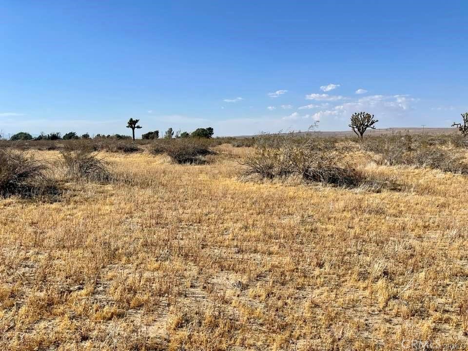 150 E Avenue K12 APN#3362-006-010 Roosevelt, Lancaster, CA 93535