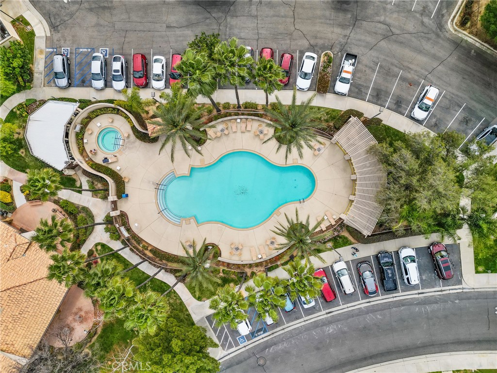 Main Pool and Spa