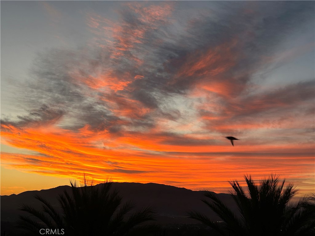 Sunrise View