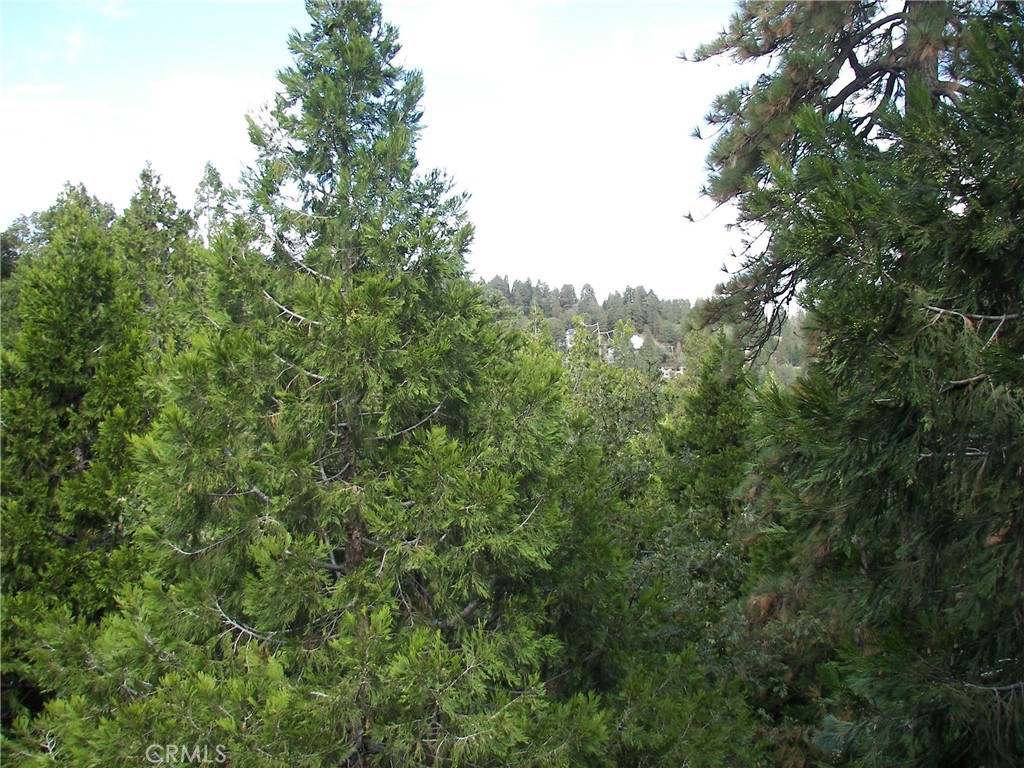 23730 Lakeview, Crestline, CA 92325