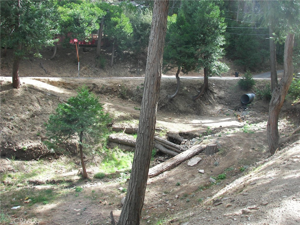 23730 Lakeview, Crestline, CA 92325