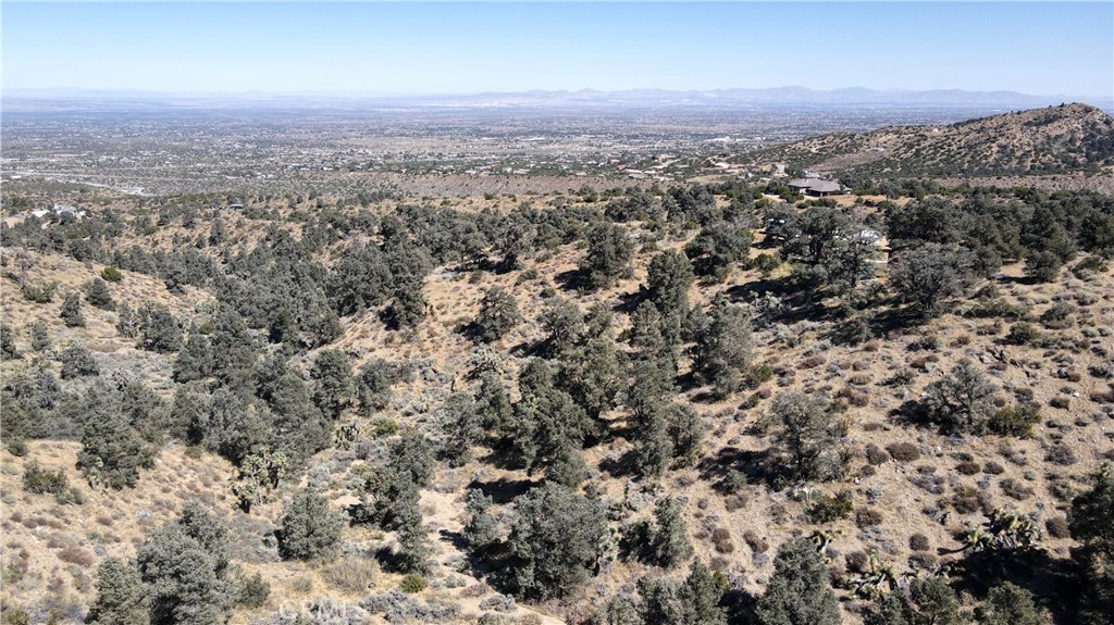 7958 HomeRidge Drive, Pinon Hills, CA 92372