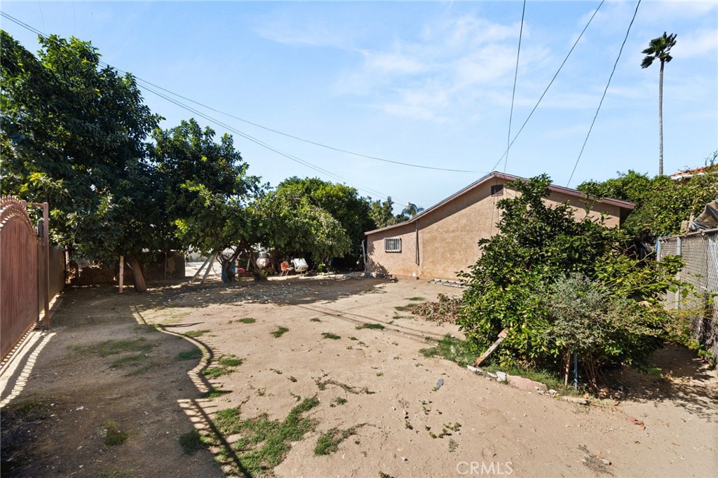 Back Yard