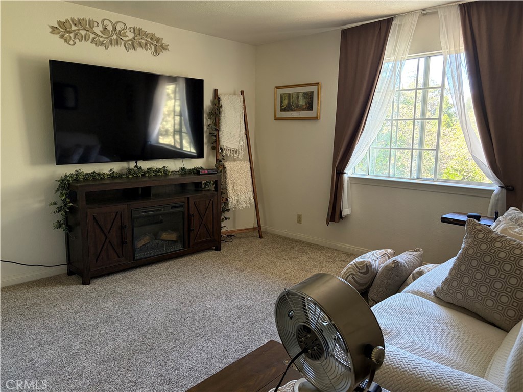 22198 SW Pine Drive, Cedarpines Park, CA 92322