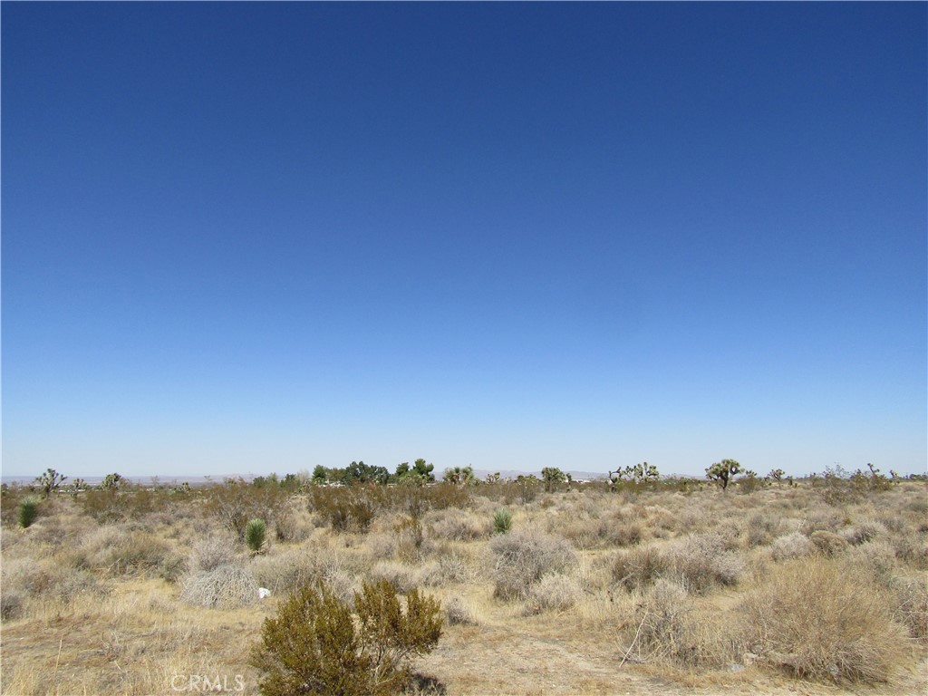 0 Madera Rd, Pinon Hills, CA 92372 0 Madera Rd, Pinon Hills, CA 92372