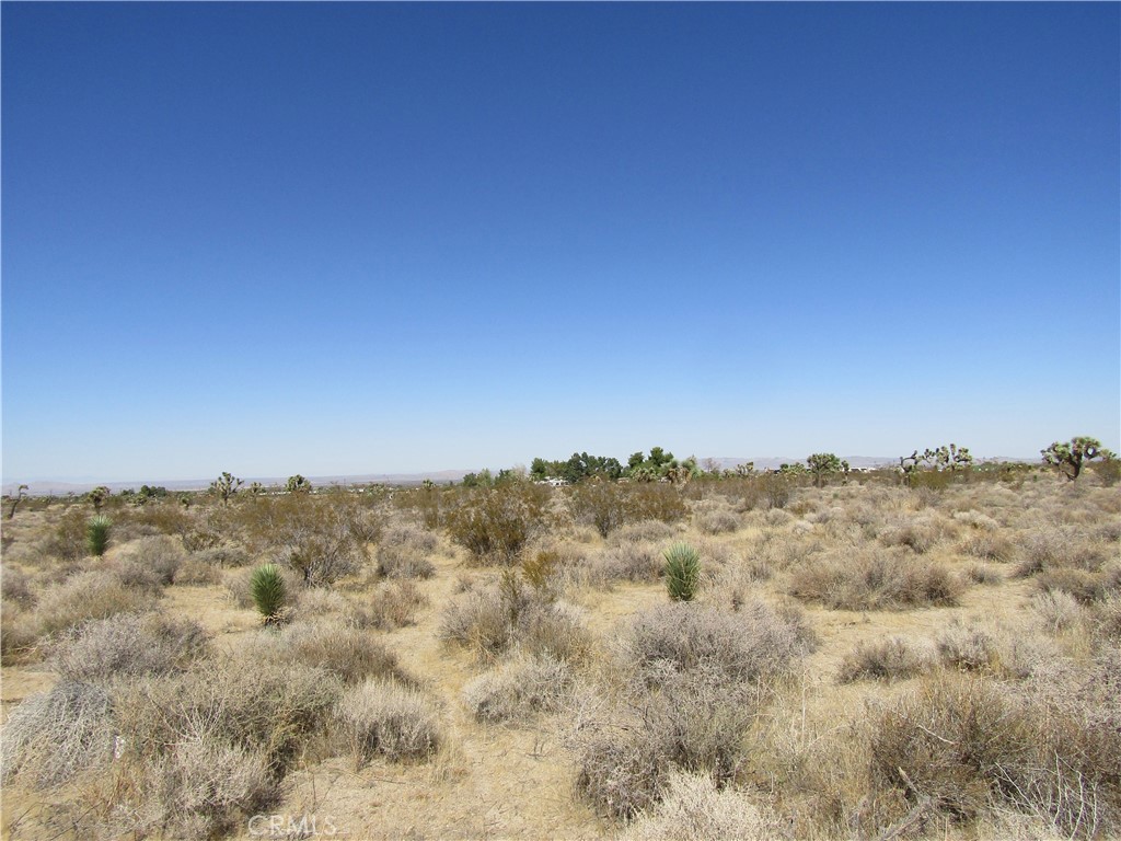 0 Madera Rd, Pinon Hills, CA 92372 0 Madera Rd, Pinon Hills, CA 92372