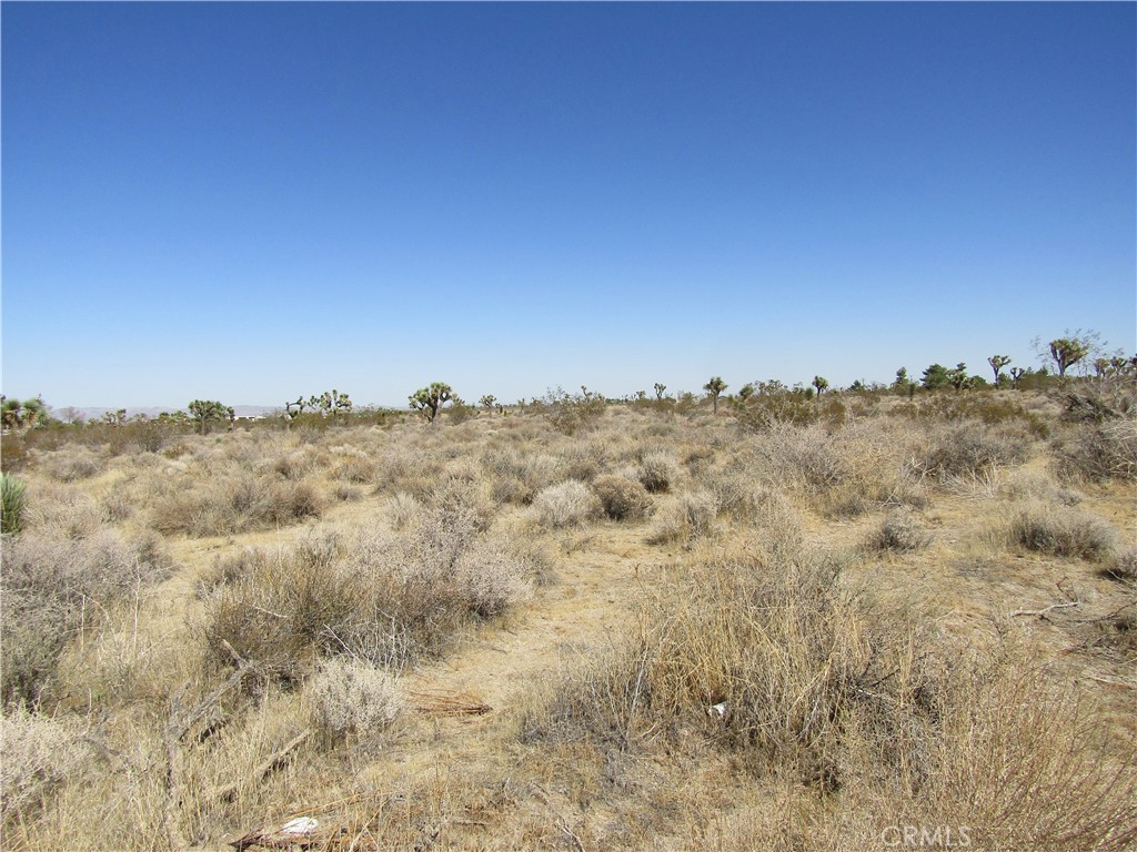 0 Madera Rd, Pinon Hills, CA 92372 0 Madera Rd, Pinon Hills, CA 92372